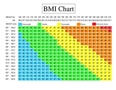 Bmi Charts Everything You Need To Know Primeval Labs