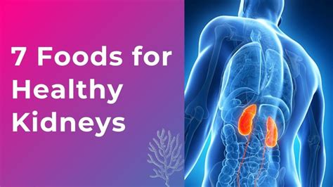 Top 7 Foods For Healthy Kidneys Hubpages