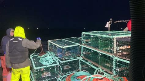 Lobster Fishing Nova Scotia Live Livestream Youtube