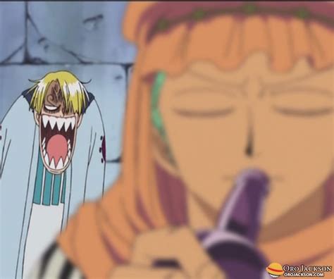 Oh Sanji Theres No Point Getting So Angry On Zoro