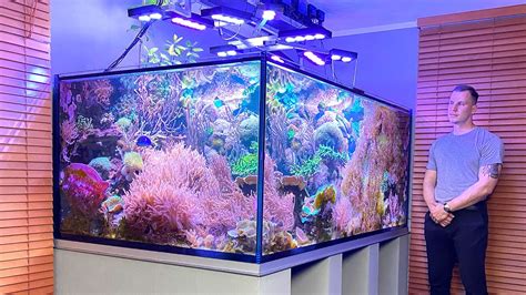 German Reef Tanks Nature Reef 3000 Liter 790 Gallon Coral