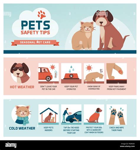 Pet Summer Safety Tips Infographic