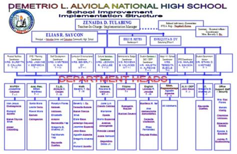 School Organization Demetrio L Alviola National High School