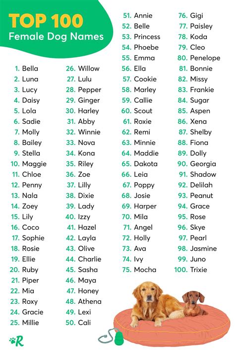 Most Popular Dog Names In The Usa Dog Names Cute Names For Dogs