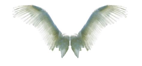 Angel Wings Animated Gif