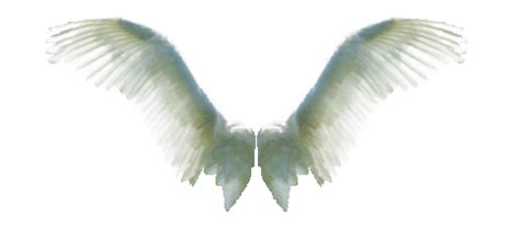 Transparent wings angel GIF on GIFER - by Akisida