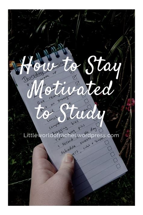 How To Stay Motivated To Study Work How To Stay Motivated