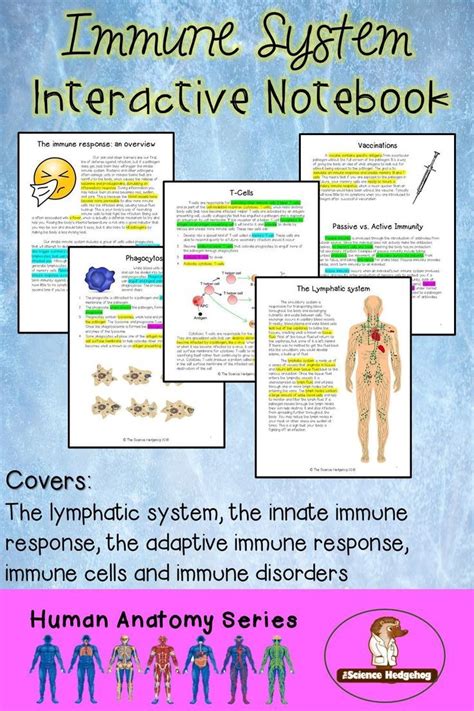 Cells of the immune system student worksheet answers