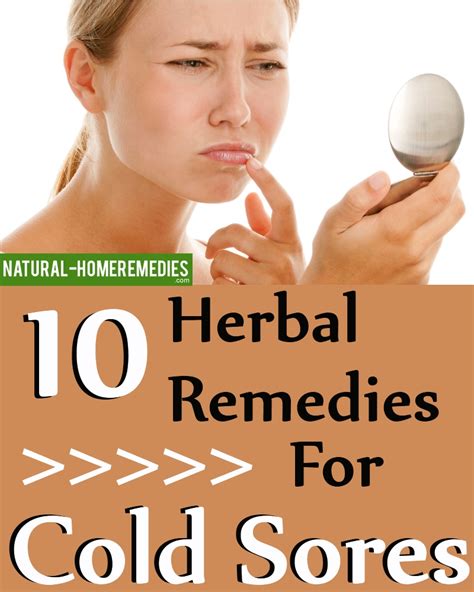 10 Herbal Remedies For Cold Sores Natural Home Remedies And Supplements