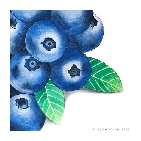 Blueberries Original Watercolor Painting Fruit Still Life Etsy