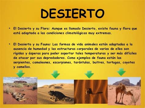 El Desierto