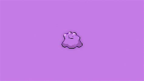 Ditto Hd Wallpapers Wallpaper Cave
