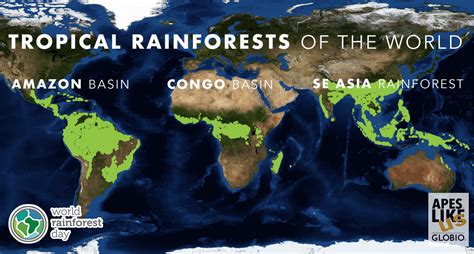 Rainforests Globio