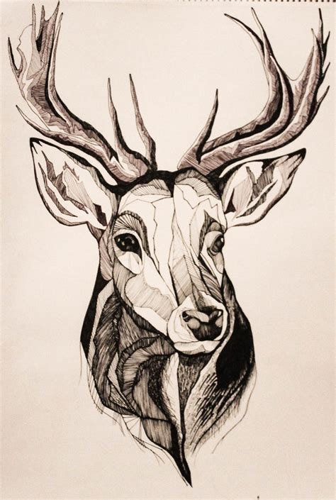 Deer Tattoo Deer Art Deer Drawing