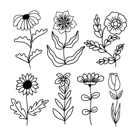 Premium Vector Flowers Outline Set Vector Bundle