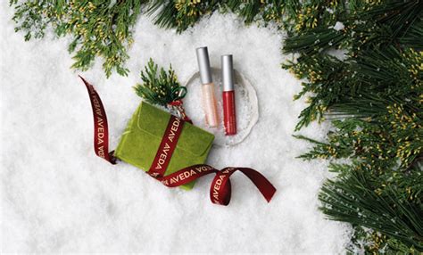 45 day buyer protection guarantee. Aveda Christmas Gift Sets - The Wonderlab - hair and ...
