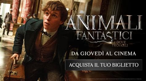 Animali Fantastici E Dove Trovarli Dal 17 Novembre Al Cinema Youtube