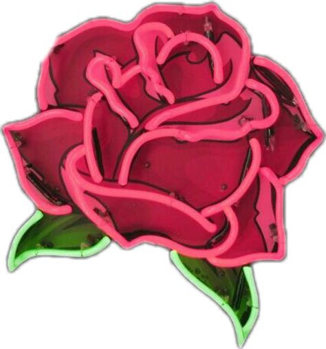 Download High Quality Transparent Rose Neon Transparent Png Images