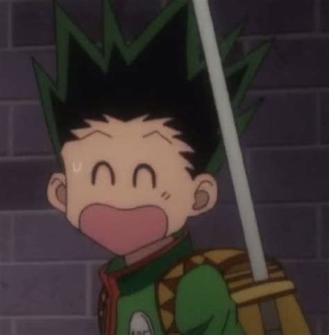 Pin By Weep Weep On Gon Appreciation Hunter Anime Hunter X Hunter