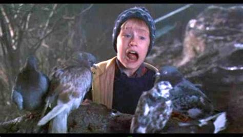 The Pigeon Movie Database Home Alone 2 The Attack Of The Hungry Pigeons