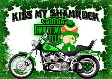Pin By Douglas King On HD ST Patrick S Day In 2021 Harley Davidson