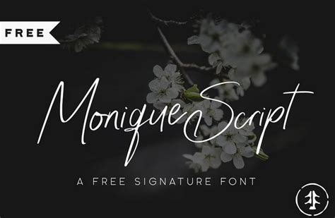 40 Bold And Free Script Fonts 2021 Tampa Web Design
