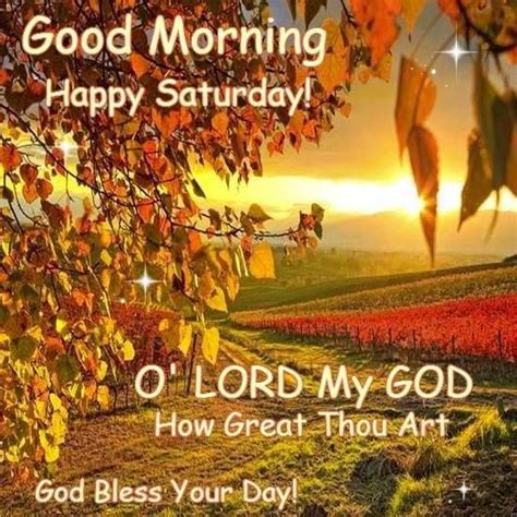 Good Morning Happy Saturday Pictures Photos And Images For Facebook