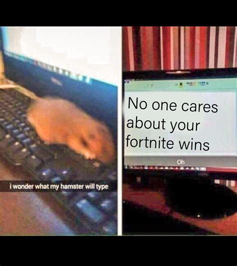 Hamster Posting Fortnite Wins Know Your Meme