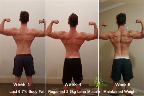 8 Week Intermittent Fasting Shred Fitness And Nutrition Tips