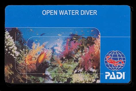 Padi Open Water Certification Card Pura Vida Divers Discover South