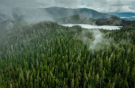 Tongass National Forest Faces Roadless Rule Rollback