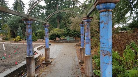Evergreen Arboretum And Gardens Everett Wa Top Tips Before You Go