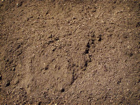 See reviews, photos, directions, phone numbers and more for the best topsoil in san antonio, tx. Topsoil | Davis Aggregates | Augusta, GA & The CSRA | SC