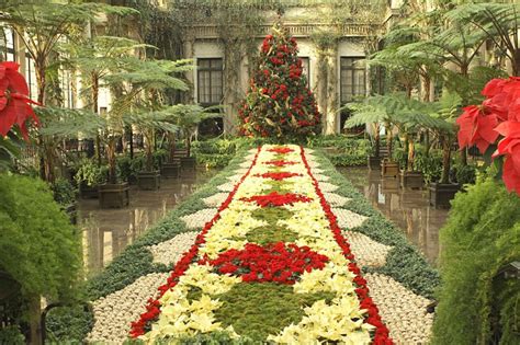 Livin' In The Green Christmas Garden Inspirations...