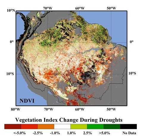 Risk Of Amazon Rainforest Dieback Is Higher Than Ipcc Projects