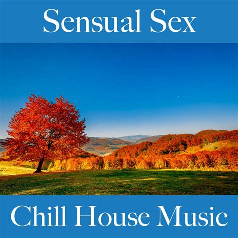 Sensual Sex Chill House Music Album By Something Wicked Spotify