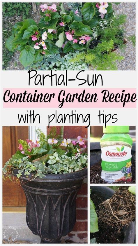 A Recipe For A Part Sun Container Garden Along With A Few Planting