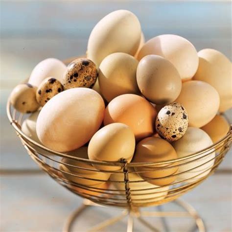 Different ways to use eggs in cookery | HubPages