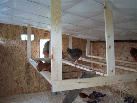 Good Ideas Chicken Coop With Nesting Box And Roosting Bar Bars For