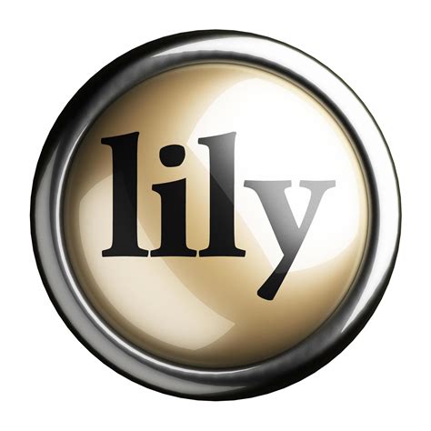Lily Word On Isolated Button 6374544 Stock Photo At Vecteezy