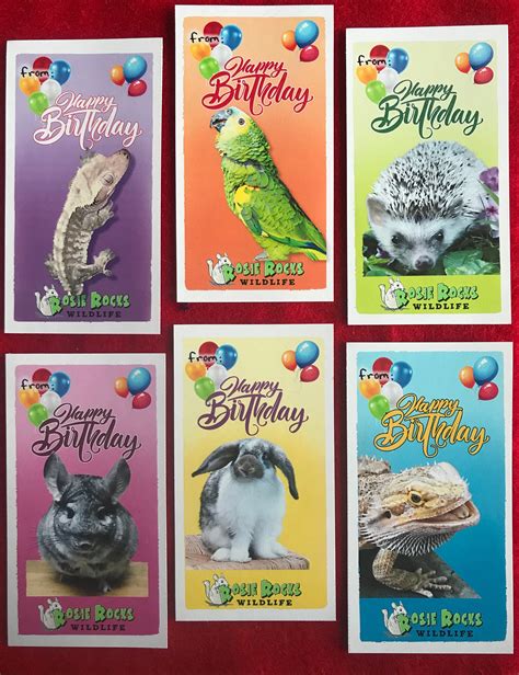 Wild Animal Birthday Cards Forest Animal Birthday Cards For Etsy