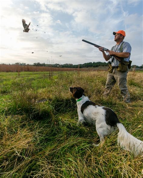 The Value Of Controlled Hunts Outdoor Enthusiast Lifestyle Magazine