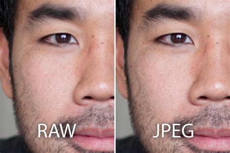 Raw Vs Jpeg The Ultimate Visual Guide Updated