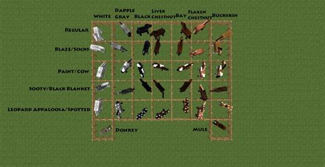 They can be pulled along and tied up using a lead, and can be towed, swimming behind a boat by using a lead. Differrent Minecraft horse breeds. | MINECRAFT | Pinterest ...