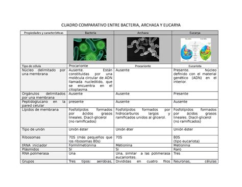 Cuadro Comparativo De Bacterias De Importancia Medica Apuntes De Images