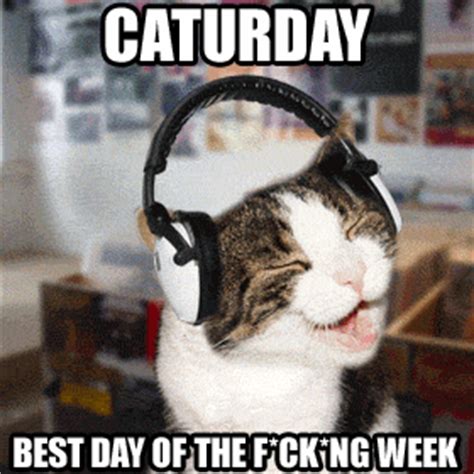 We have found the funniest memes for your caturday! chat musique casque samedi caturday saturday weekend Image ...