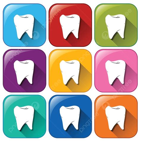 Tooth Icons Isolated Group Dentist Vector Isolated Group Dentist Png