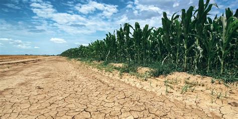 Crop Input Costs Drought Top Concerns For Nebraska Farmers Ranchers
