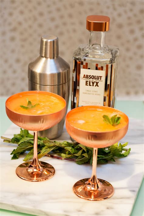 how to have the absolut best passionfruit cocktail — suzanne spiegoski