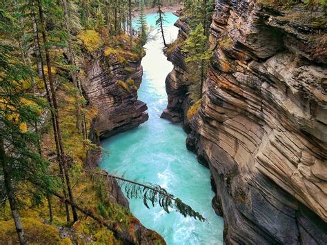 Must-See National Parks in Canada | National parks trip, National parks, Jasper national park canada